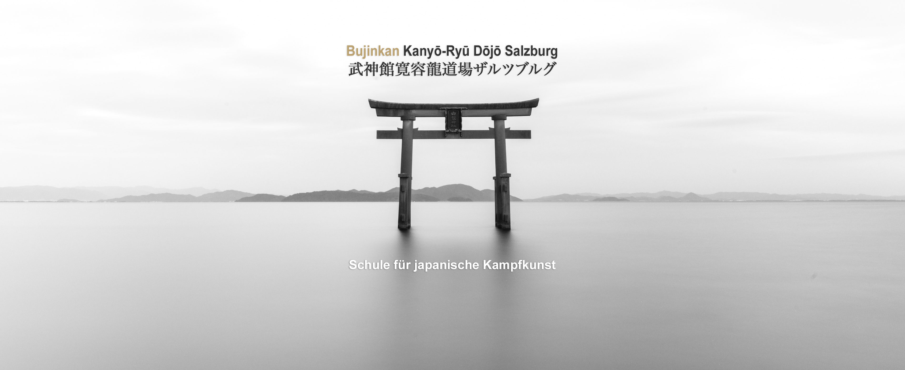 BujinkanSalzburgBanner2022 DojoBanner